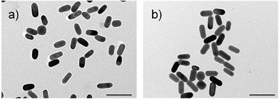 Effect of Chemically Engineered Au/Ag Nanorods on the Optical and Mechanical Properties of Keratin Based Films